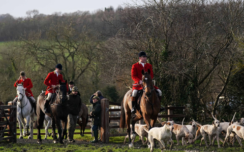 Fuchsjagd in England: Harmlose Tradition oder blutrünstiges Spektakel? (Archivbild) - Foto: Jacob King/PA Wire/dpa