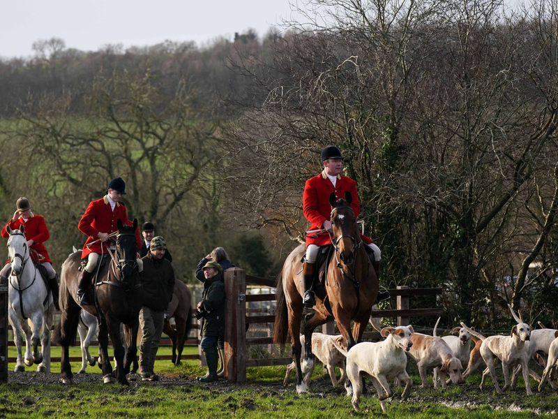 Fuchsjagd in England: Harmlose Tradition oder blutrünstiges Spektakel? (Archivbild) - Foto: Jacob King/PA Wire/dpa