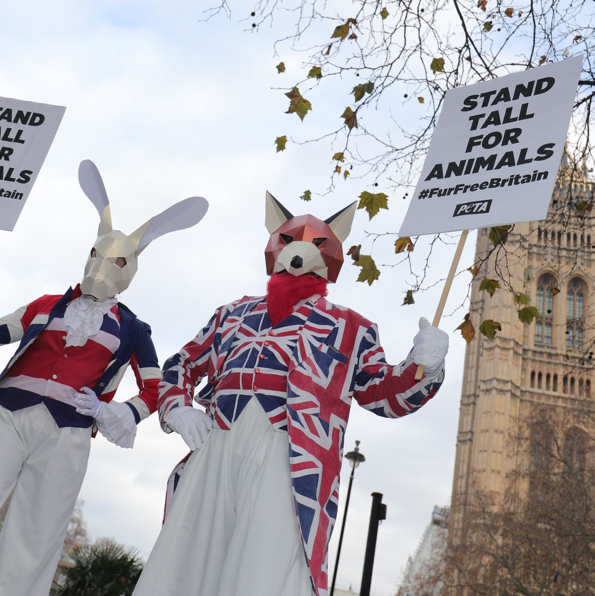 Kritiker werfen den Jägern vor, unter dem Deckmantel der Legalität doch echte Füchse und Hasen zu jagen. (Archivbild) - Foto: Aaron Chown/PA Wire/dpa
