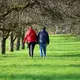 Sonnenschein gibt es in den nächsten Tagen nicht überall zu genießen.  - Bild: Thomas Warnack/dpa
