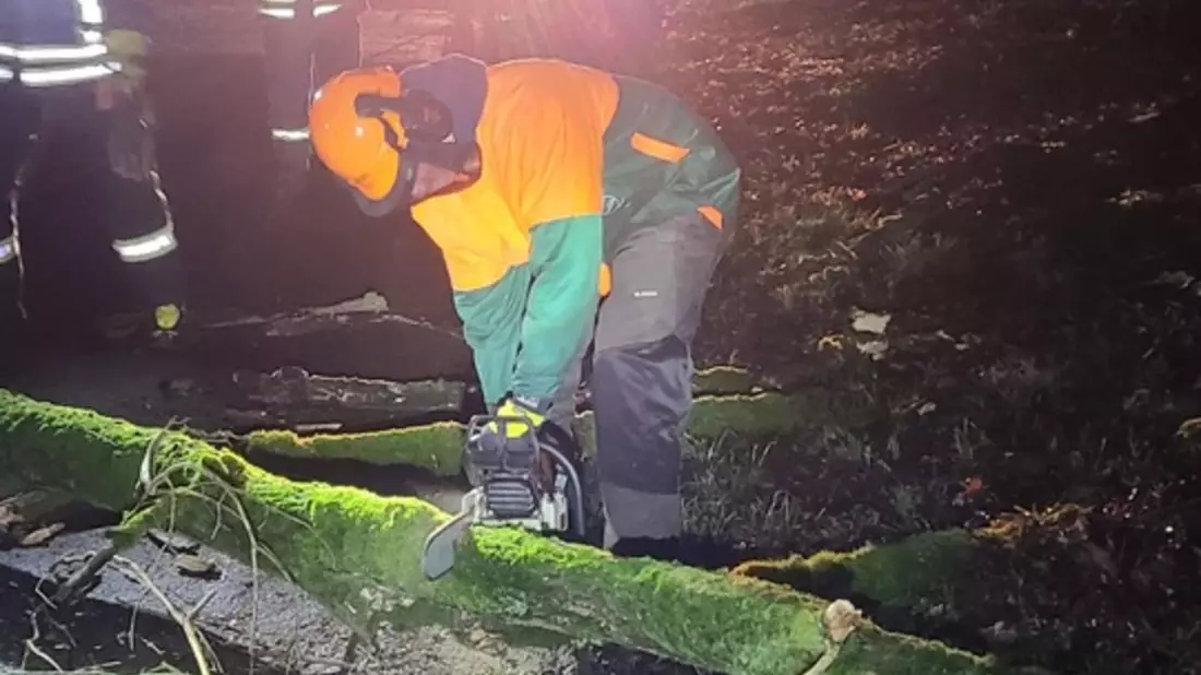 FW-Schermbeck: Baum in Telefonleitung - Bild: presseportal.de