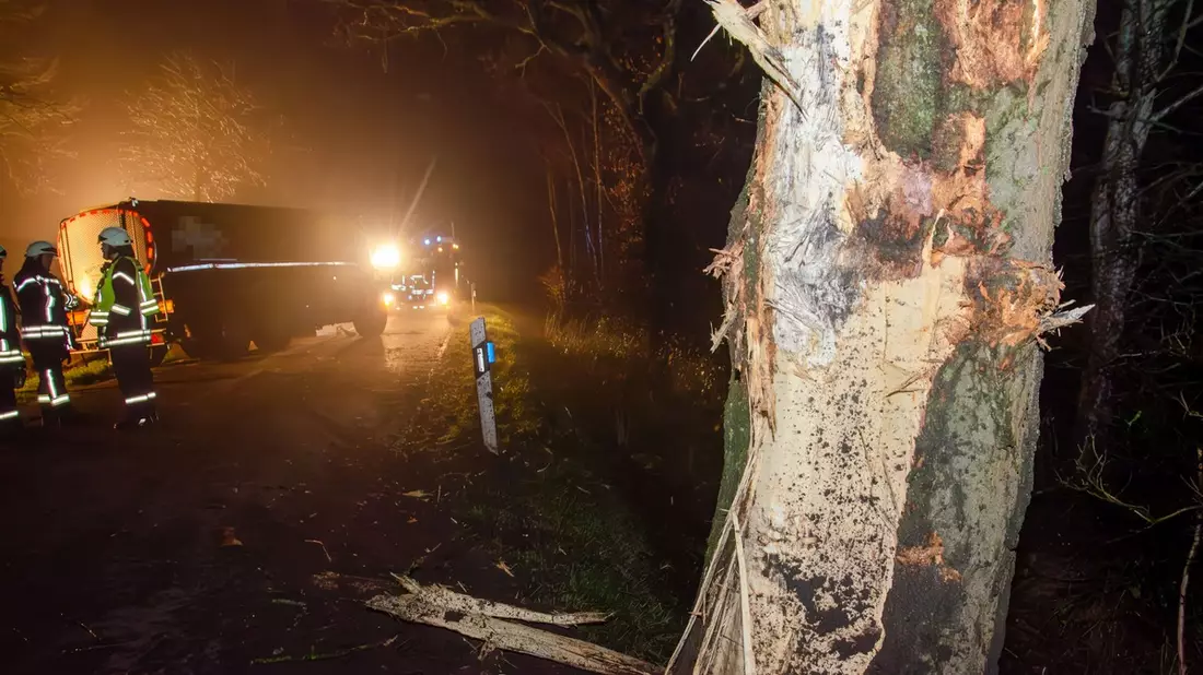 FW-RD: Milchlaster fährt gegen Baum - L128 zwischen Gokels und Seefeld vollgesperrt - Bild: presseportal.de