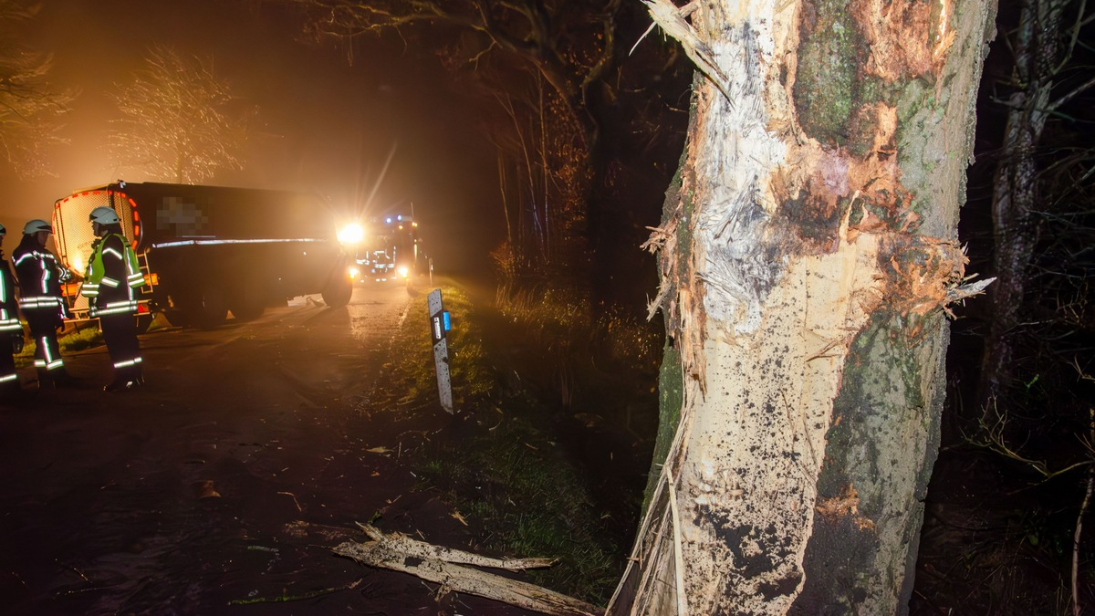FW-RD: Milchlaster fährt gegen Baum - L128 zwischen Gokels und Seefeld vollgesperrt - Foto: presseportal.de