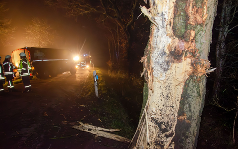 FW-RD: Milchlaster fährt gegen Baum - L128 zwischen Gokels und Seefeld vollgesperrt - Foto: presseportal.de