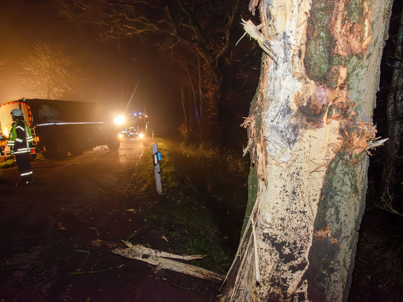 FW-RD: Milchlaster fährt gegen Baum - L128 zwischen Gokels und Seefeld vollgesperrt - Foto: presseportal.de