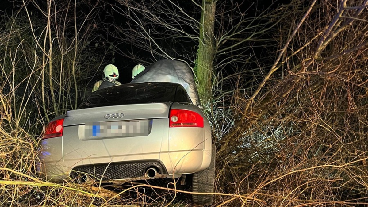 POL-COE: Lüdinghausen, Rohrkamp/ Auto mit Baum kollidiert - Foto: presseportal.de