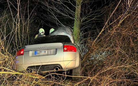 POL-COE: Lüdinghausen, Rohrkamp/ Auto mit Baum kollidiert - Foto: presseportal.de