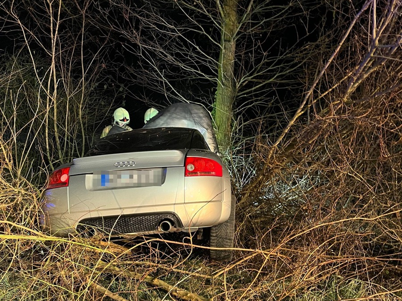 POL-COE: Lüdinghausen, Rohrkamp/ Auto mit Baum kollidiert - Foto: presseportal.de
