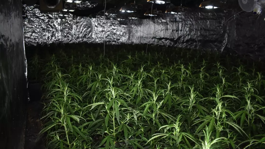 POL-AC: Cannabis-Plantage bei Feuerwehreinsatz entdeckt - Tatverdächtiger festgenommen - Bild: presseportal.de