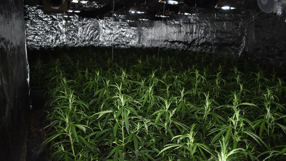 POL-AC: Cannabis-Plantage bei Feuerwehreinsatz entdeckt - Tatverdächtiger festgenommen - Foto: presseportal.de