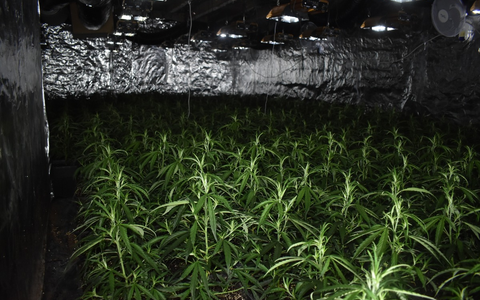 POL-AC: Cannabis-Plantage bei Feuerwehreinsatz entdeckt - Tatverdächtiger festgenommen - Foto: presseportal.de