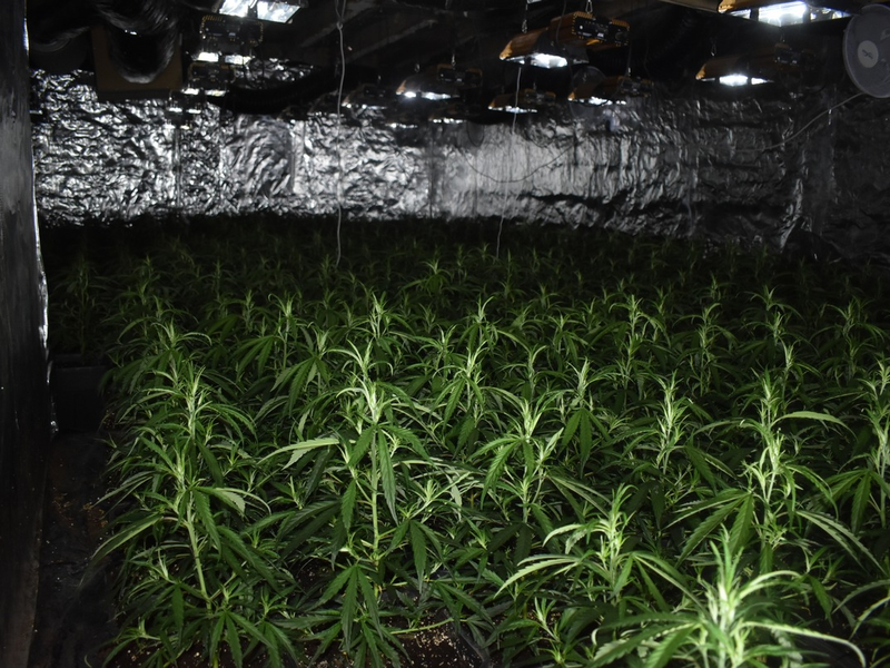 POL-AC: Cannabis-Plantage bei Feuerwehreinsatz entdeckt - Tatverdächtiger festgenommen - Foto: presseportal.de