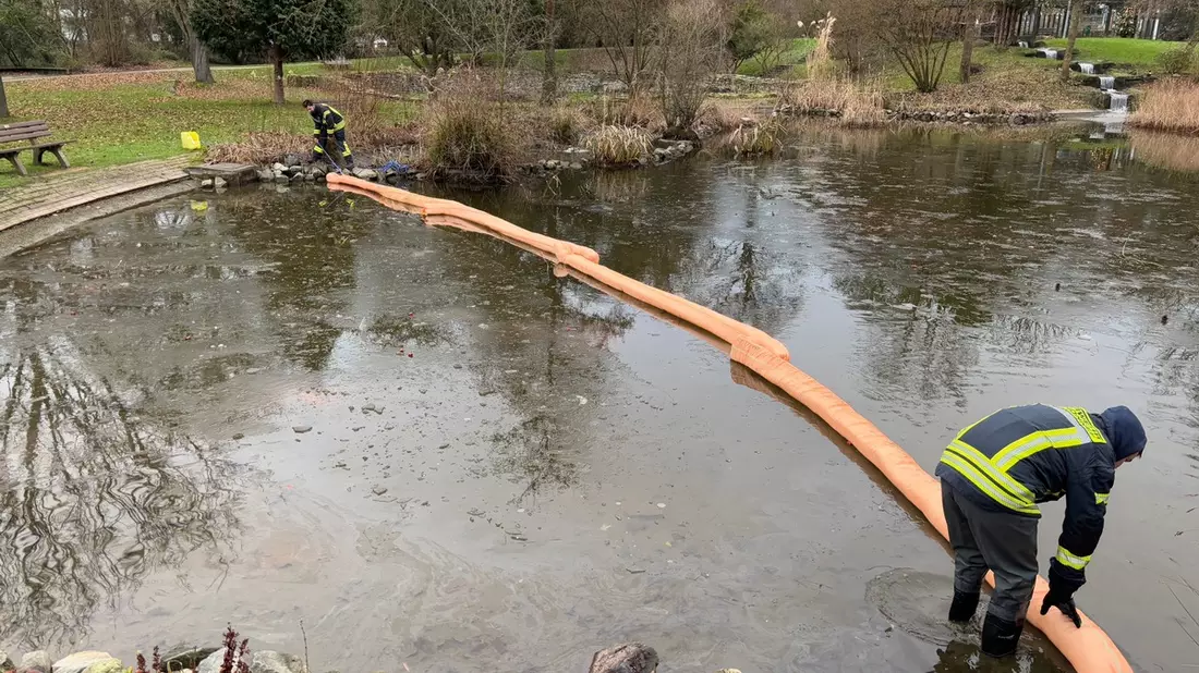 FW Bad Honnef: Ölfilm auf einem Teich ruft Feuerwehr auf den Plan - Bild: presseportal.de
