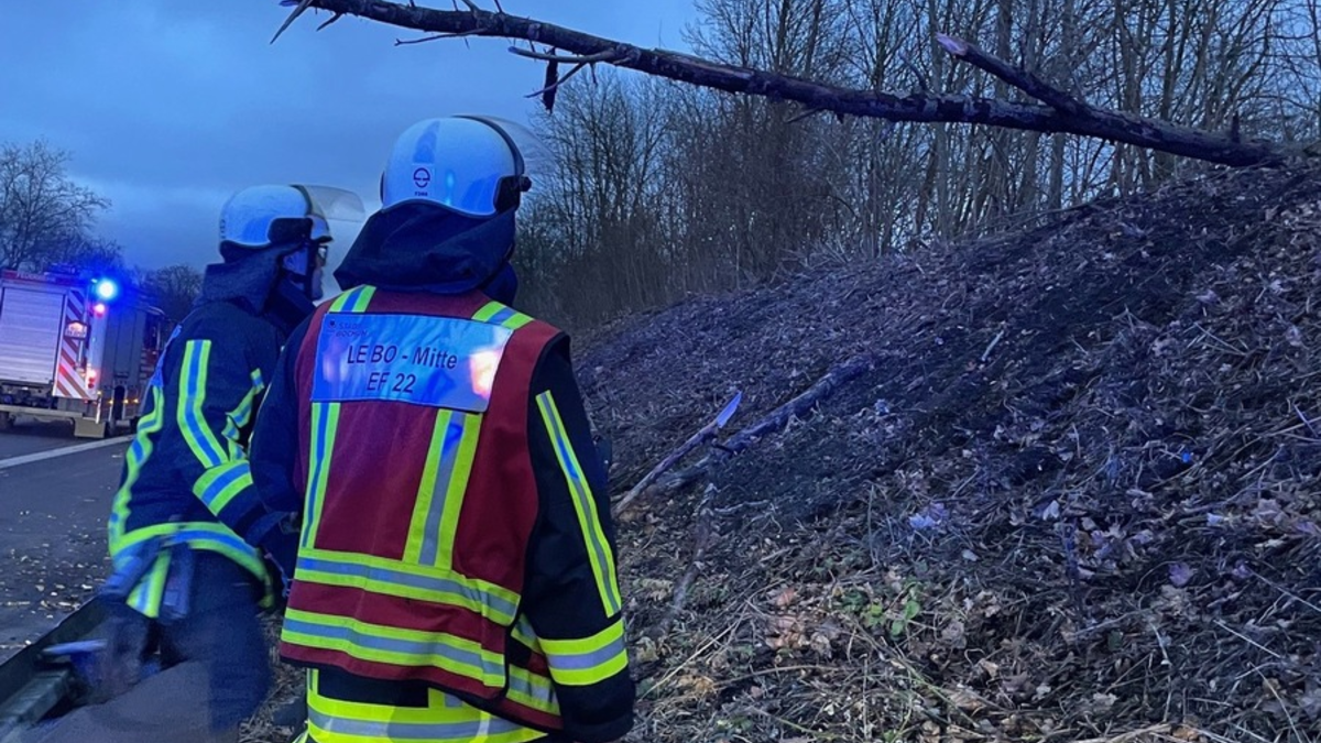 FW-BO: Sturmböen bis 90 km/h - Feuerwehr Bochum im Dauereinsatz - Foto: presseportal.de