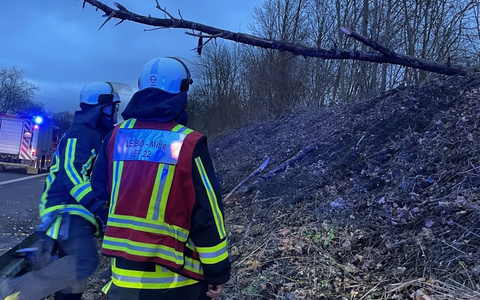 FW-BO: Sturmböen bis 90 km/h - Feuerwehr Bochum im Dauereinsatz - Foto: presseportal.de