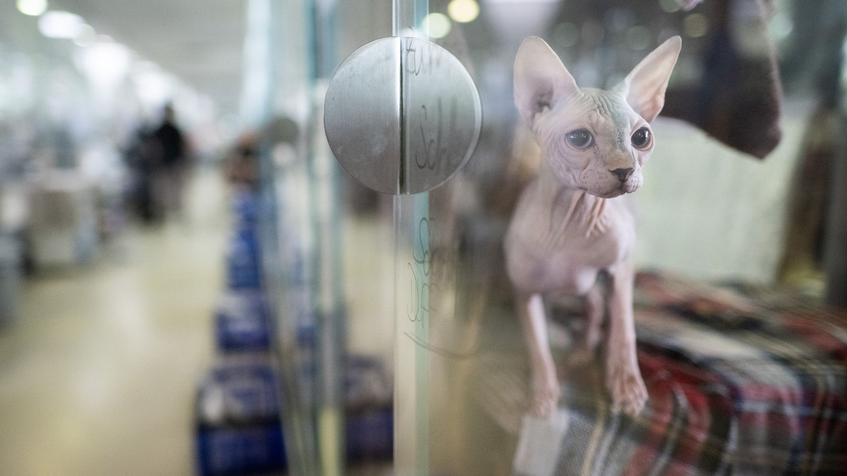 Die Heime sind voll, doch die Kassen bleibt leer. (Archivbild) - Foto: Sebastian Christoph Gollnow/dpa