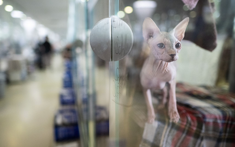 Die Heime sind voll, doch die Kassen bleibt leer. (Archivbild) - Foto: Sebastian Christoph Gollnow/dpa