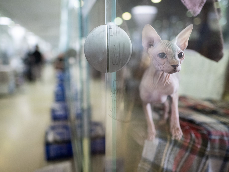 Die Heime sind voll, doch die Kassen bleibt leer. (Archivbild) - Foto: Sebastian Christoph Gollnow/dpa