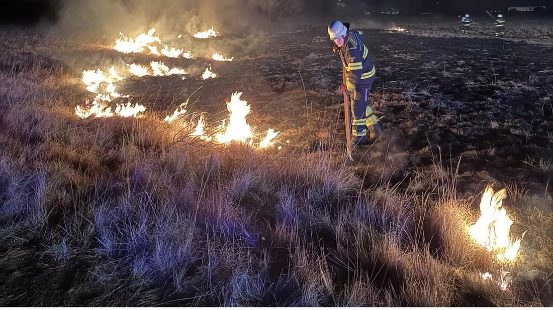 FW-M: Flächenbrand auf Panzerwiese (Hasenbergl) - Bild: presseportal.de