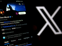 Der US-Multimilliardär Elon Musk setzt sich für einen britischen Rechtsextremen ein. (Symbolbild) - Foto: Algi Febri Sugita/ZUMA Press Wire/dpa