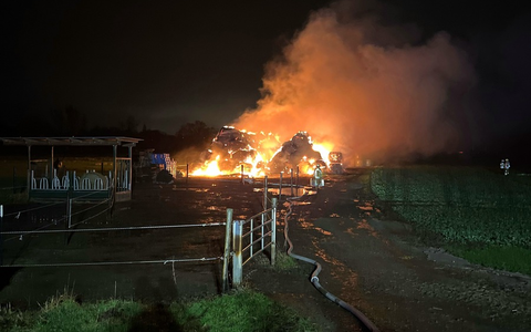 POL-DU: Bergheim: Heuballenlager in Vollbrand - Kripo sucht Zeugen - Foto: presseportal.de