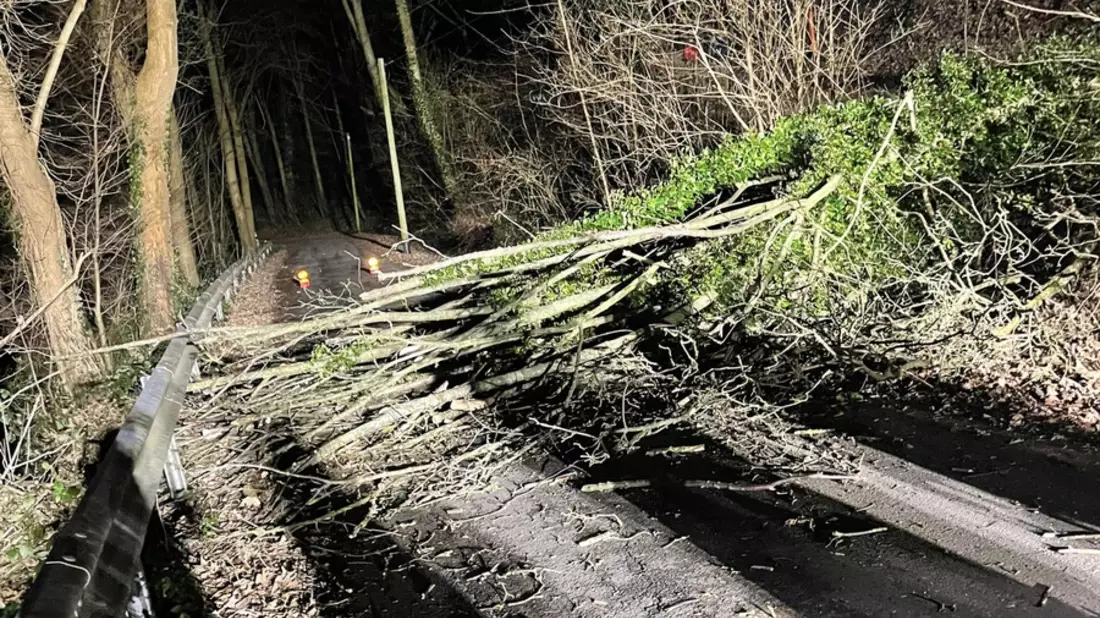 FW-Schermbeck: Baum auf Fahrbahn - Bild: presseportal.de