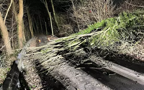 FW-Schermbeck: Baum auf Fahrbahn - Foto: presseportal.de