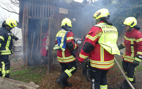 FW Reichenau: Pressemitteilung: Baum am Campingplatz brennt erneut, 02.01.2025, Reichenau-Mittelzell - Foto: presseportal.de