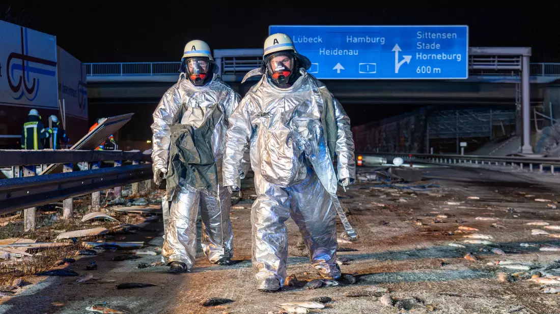 Die Forellen wurden bei dem Unfall über die Fahrbahn verteilt. - Bild: JOTO/dpa