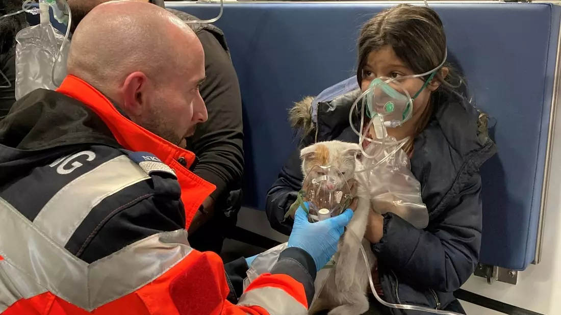 Auch eine Katze brauchte nach dem Brand medizinische Hilfe. (Handout) - Bild: -/BERUFSRETTUNG WIEN/dpa