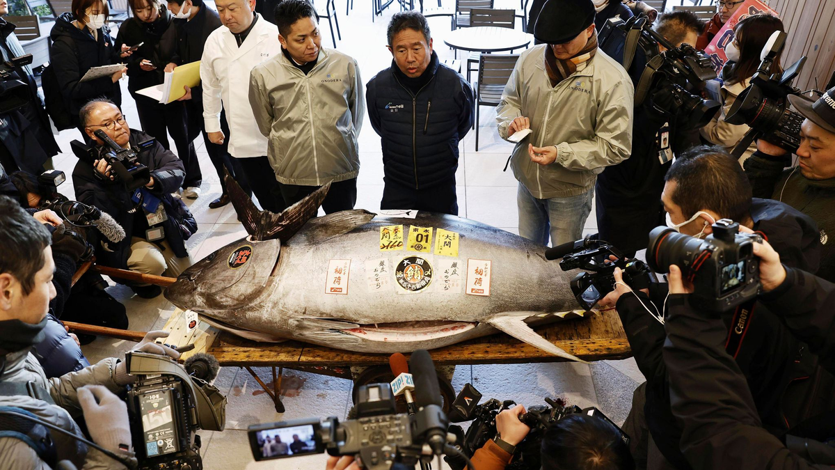 Die erste Auktion eines Thunfisches im Neuen Jahr gilt vielen in Japan als Gradmesser für Glück und Wohlstand.  - Foto: -/Kyodo News/dpa
