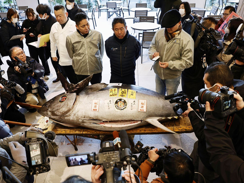 Die erste Auktion eines Thunfisches im Neuen Jahr gilt vielen in Japan als Gradmesser für Glück und Wohlstand.  - Foto: -/Kyodo News/dpa