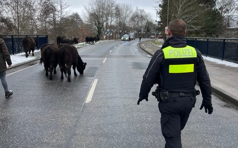 POL-WL: Wochenendpressemitteilung vom 03.01.2025, 12:00 Uhr bis 05.01.2025, 12:00 Uhr - Foto: presseportal.de