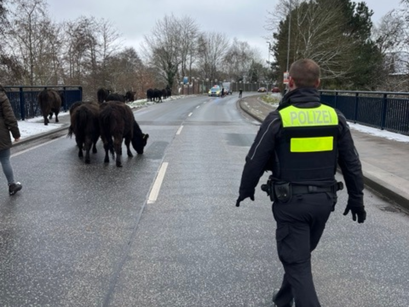 POL-WL: Wochenendpressemitteilung vom 03.01.2025, 12:00 Uhr bis 05.01.2025, 12:00 Uhr - Foto: presseportal.de