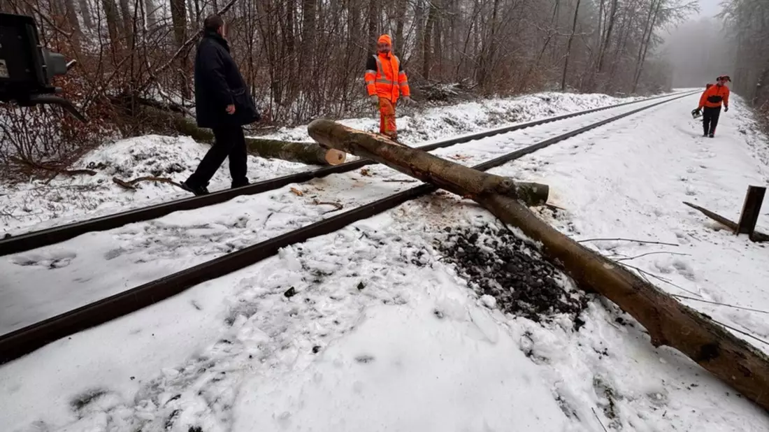 FW VG Westerburg: Umgestürzte Bäume versperrten Bahnstrecke und Straße - Bild: presseportal.de