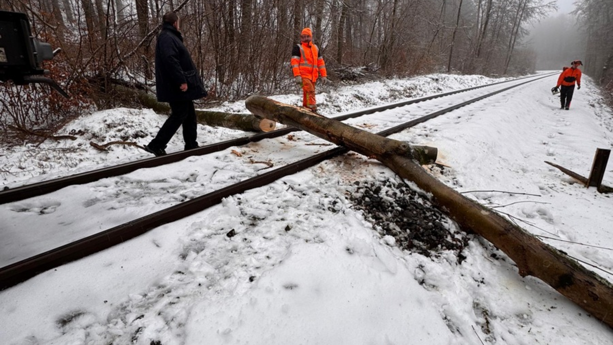 FW VG Westerburg: Umgestürzte Bäume versperrten Bahnstrecke und Straße - Foto: presseportal.de