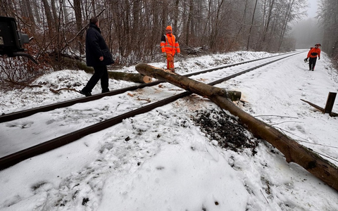 FW VG Westerburg: Umgestürzte Bäume versperrten Bahnstrecke und Straße - Foto: presseportal.de