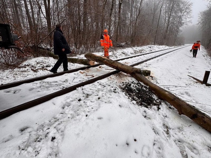 FW VG Westerburg: Umgestürzte Bäume versperrten Bahnstrecke und Straße - Foto: presseportal.de