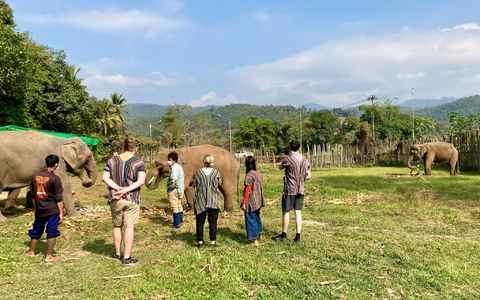 In den Zentren leben die Elefanten mit ihren Führern. Tierschützer beklagen, dass die Touristen die Tiere stressen. (Archivbild) - Foto: Carola Frentzen/dpa