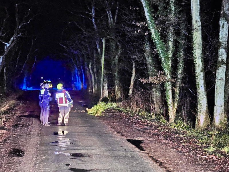 FW Hünxe: Sturmschaden - Foto: presseportal.de