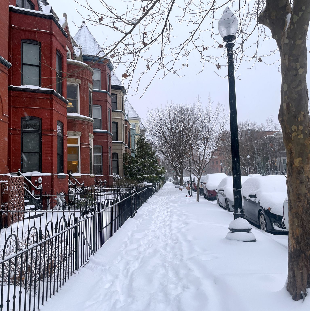 In Washington wachten die Menschen am Morgen mit jeder Menge Schnee auf.  - Foto: Lena Klimkeit/dpa