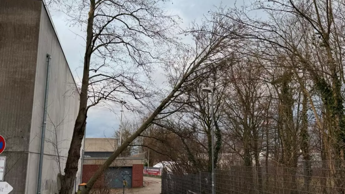 FW Ratingen: Sturmtief über Ratingen - Bild: presseportal.de