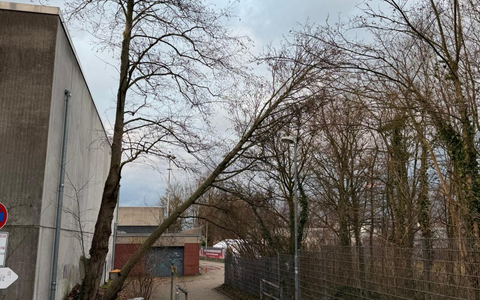 FW Ratingen: Sturmtief über Ratingen - Foto: presseportal.de