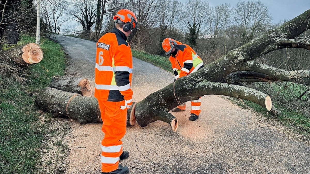 FW-SG: Sturmböen in Solingen - Foto: presseportal.de