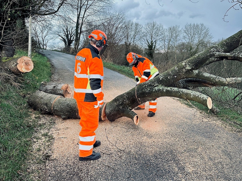 FW-SG: Sturmböen in Solingen - Foto: presseportal.de