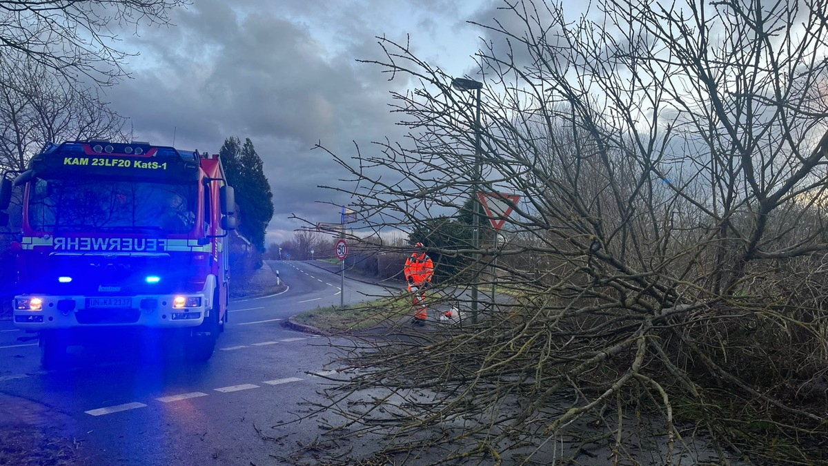 FW Bocholt: Nach heftigem Unwetter: Herabgestürzte Äste und vollgelaufene Keller im Stadtgebiet - Foto: presseportal.de