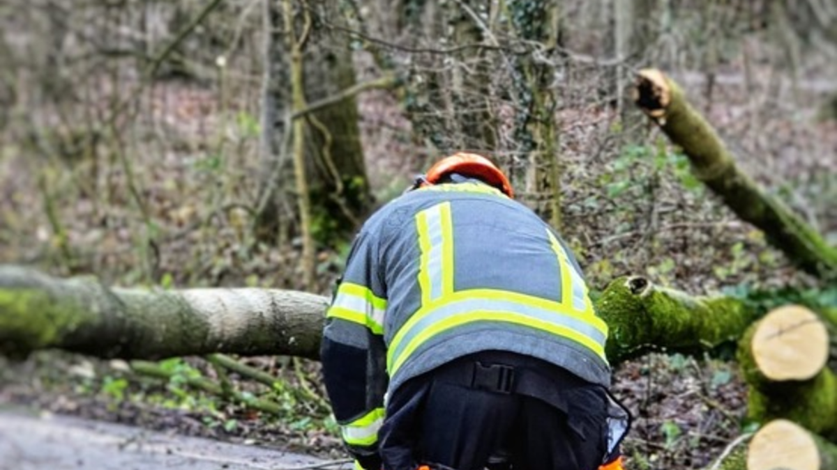 FW-WRN: Mehrere Sturmbedingte Einsätze für die Freiwilligen Feuerwehr Werne - Foto: presseportal.de