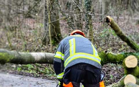 FW-WRN: Mehrere Sturmbedingte Einsätze für die Freiwilligen Feuerwehr Werne - Foto: presseportal.de