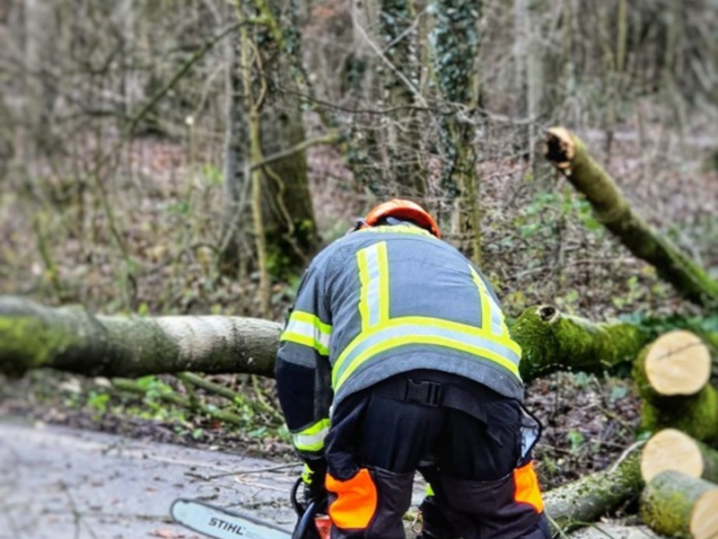 FW-WRN: Mehrere Sturmbedingte Einsätze für die Freiwilligen Feuerwehr Werne - Foto: presseportal.de