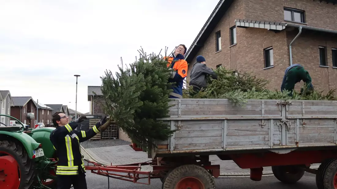 FW Gangelt: Abholung der Weihnachtsbäume durch die Jugendfeuerwehr - Bild: presseportal.de